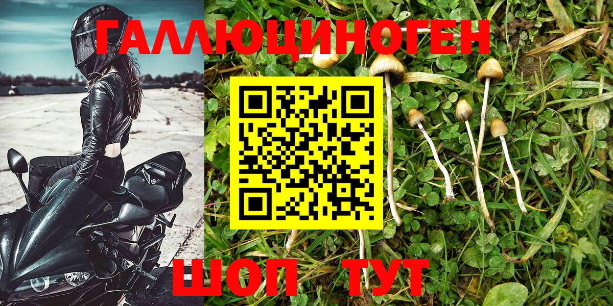 Псилоцибиновые грибы MAGIC MUSHROOMS Кудымкар